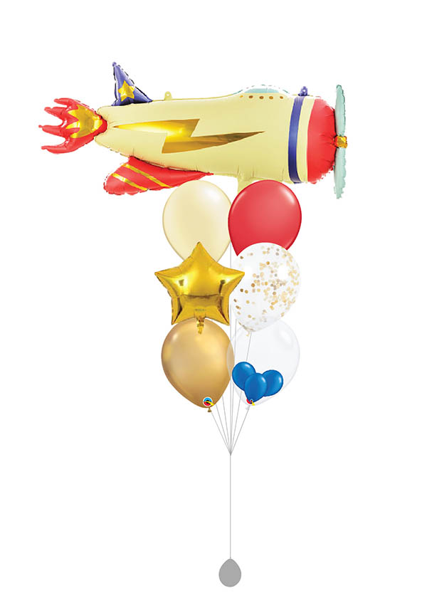 [BOUQUET]  Retro Airplane 2 Bouquet