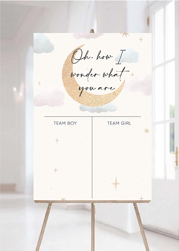 Gender Reveal Activity Board